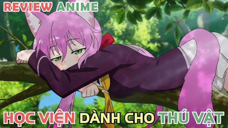 Những lưu ý khi đọc review phim anime
